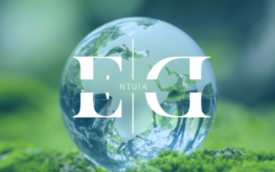 Limpieza sostenible: alternativas naturales a los químicos industriales